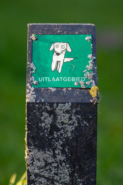 狗排气区签到图片下载