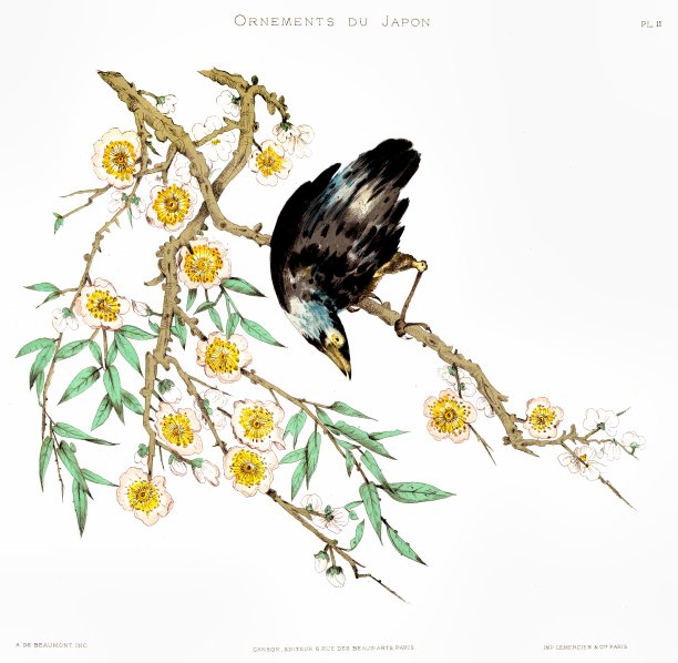 鸟在花枝上。来自日本的装饰品1883年图片下载