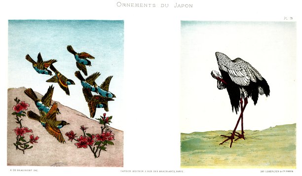 鸟类和鲜花。来自日本的装饰品1883年图片下载
