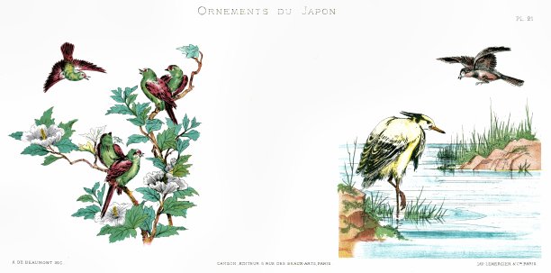 鸟在花上和水里。来自日本的装饰品1883年图片下载