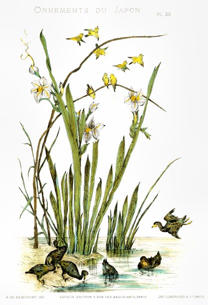 鸟，植物和花。来自日本的装饰品1883年图片下载