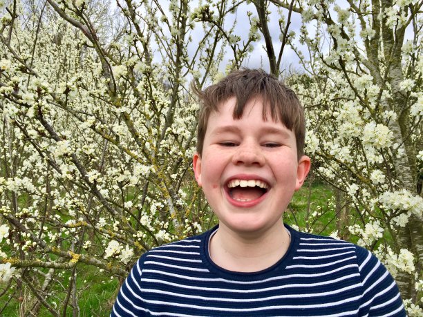 春天公园里的男孩图片下载