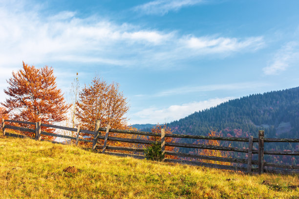 秋天的乡村景色在山上图片下载