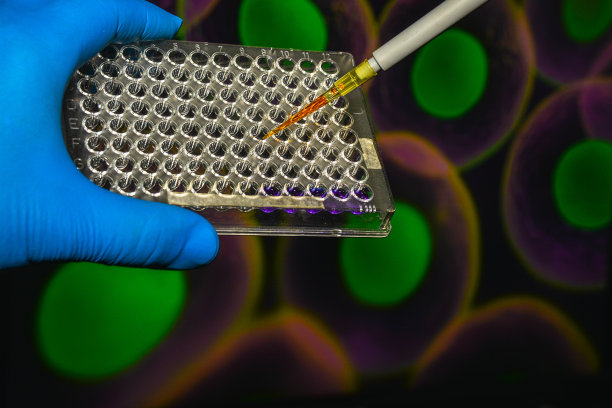 细胞的研究。图片下载