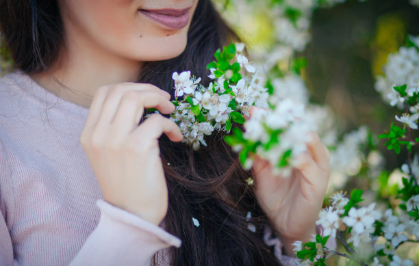 春光明媚图片下载