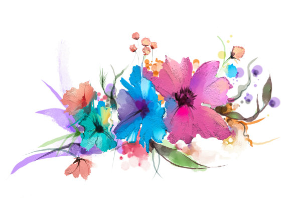 抽象油画花和叶。插图孤立的春天，夏天的花油漆设计在白色的背景。图片下载