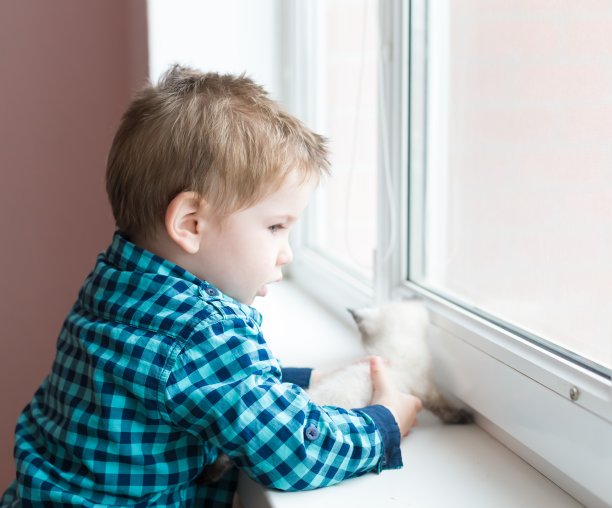 男孩，小猫，回家，认真的图片下载
