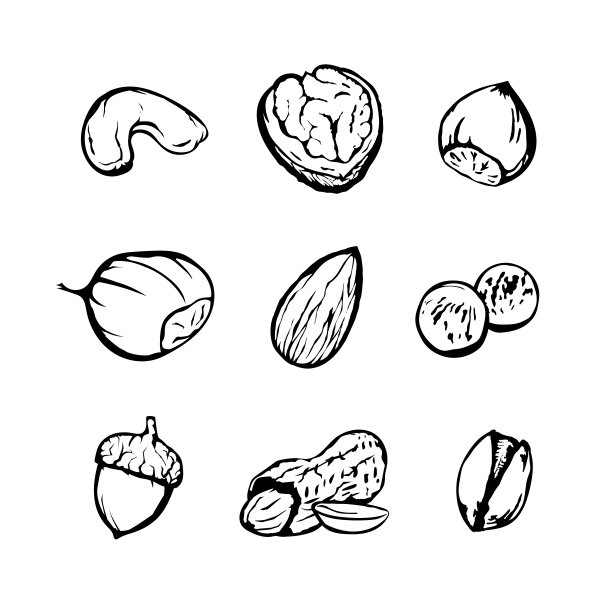 干果图标集。素材图片