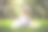 可爱的小男孩玩兔子和复活节彩蛋图片下载