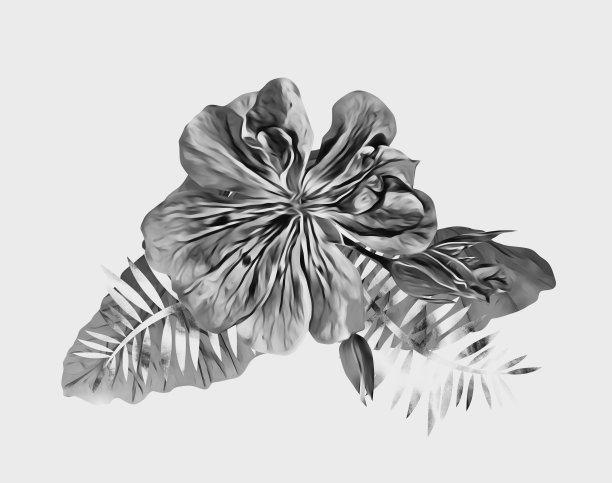 异国花束模板。图片下载