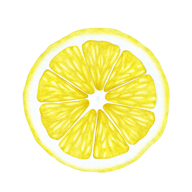 柠檬手绘插图。数字彩色。图片下载