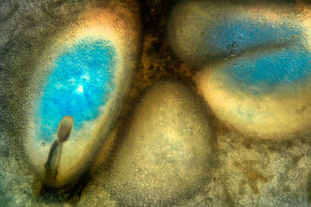 虚构的有机世界. .图片下载