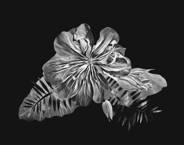 异国花束模板。图片下载