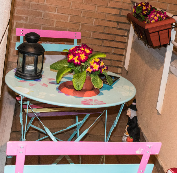 花中心在露台桌子上图片下载