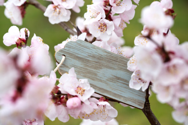 开放空间图片下载