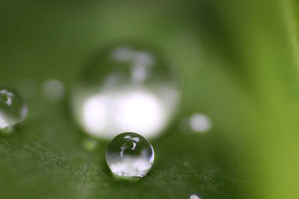 雨滴图片下载
