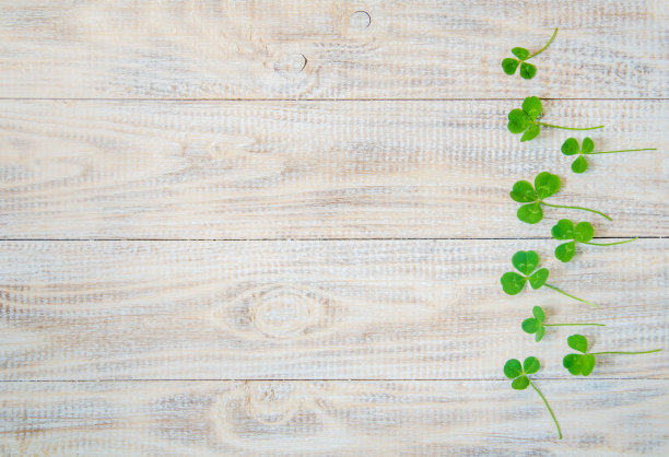 苜蓿叶。圣帕特里克节快乐。有选择性的重点。图片下载