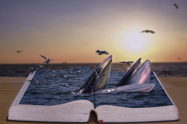 虚拟映像。布莱德的鲸鱼。图片下载