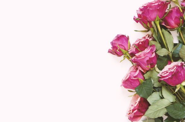 花组成。白色背景上的玫瑰花。平铺，俯视图，拷贝空间。——图片图片下载