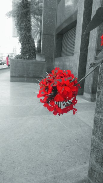 红色的图片下载