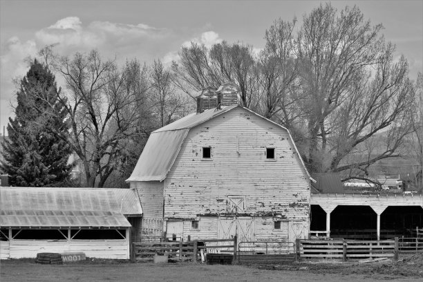 老谷仓的黑白照片图片下载