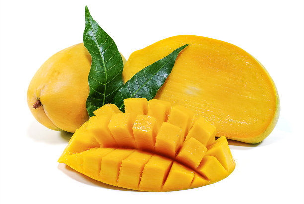 芒果果实孤立在白色的背景图片下载