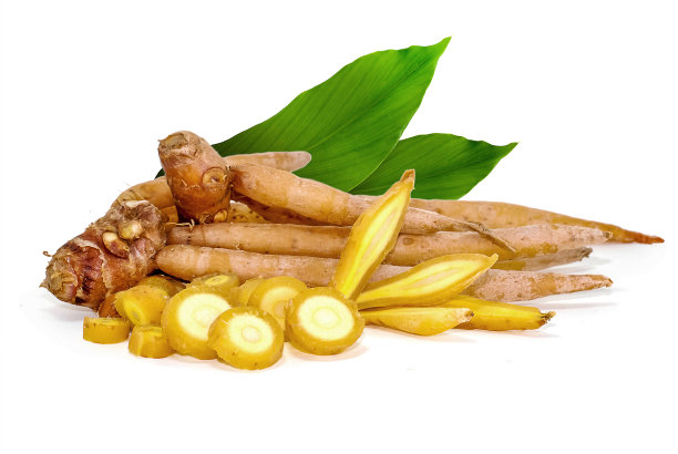 在白色背景上分离的根图片下载