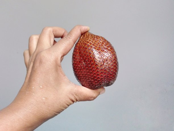 手握沙拉或扎拉卡水果图片下载