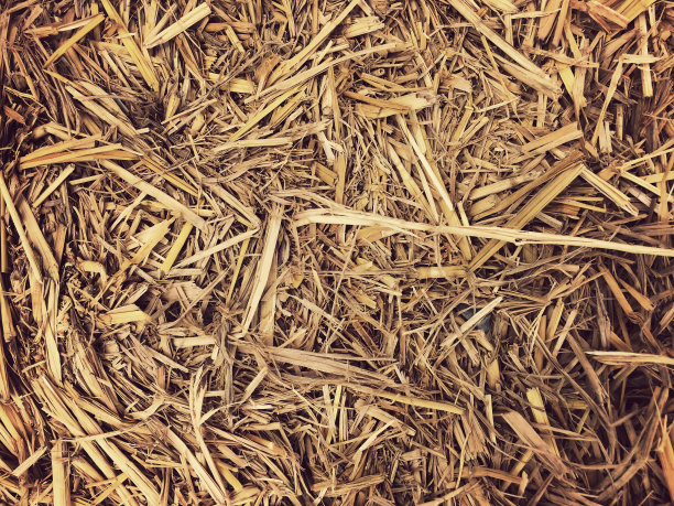 干草，稻草纹理边框背景复古风格，干草墙纸图片下载