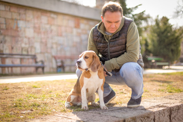 我最好的朋友图片下载