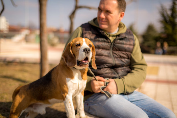 和我的狗玩图片下载