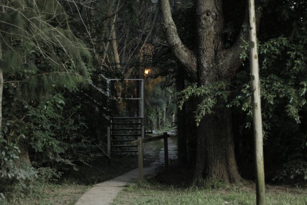 林中小径图片下载