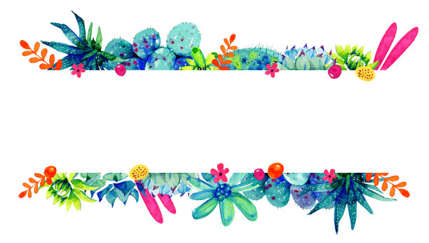 边框的顶部和底部有花，仙人掌和多肉植物。水彩手绘彩色素描插图图片下载