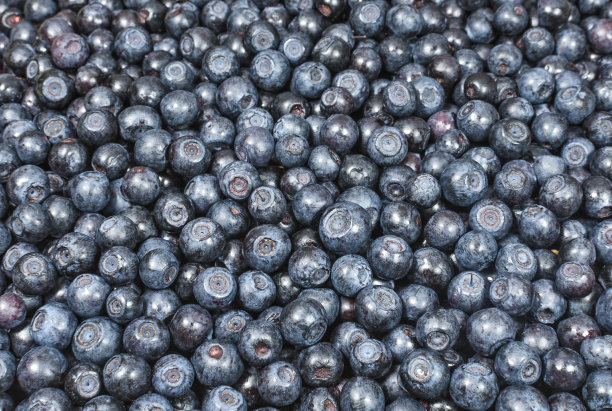 新鲜蓝莓背景图片下载