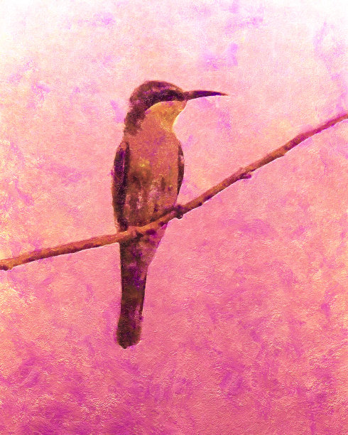 一只粉红色的鸟在画布上的插图。图片下载