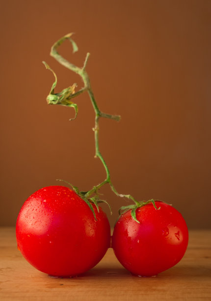 带枝的红番茄图片下载