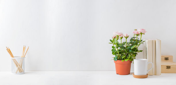 家庭办公室，室内博客工作与玫瑰在花盆，书，白色马克杯，办公用品图片下载