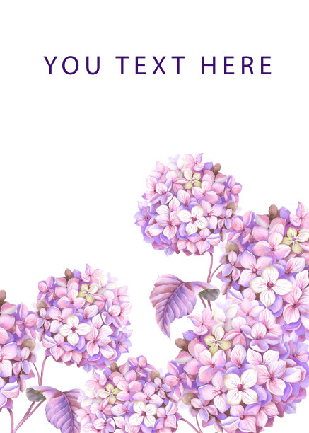 紫色水彩绣球花图片下载