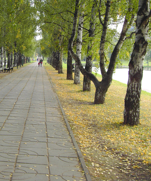 秋天的城市公园图片下载