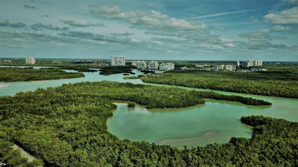 德尔努尔·维金斯公园湾图片下载