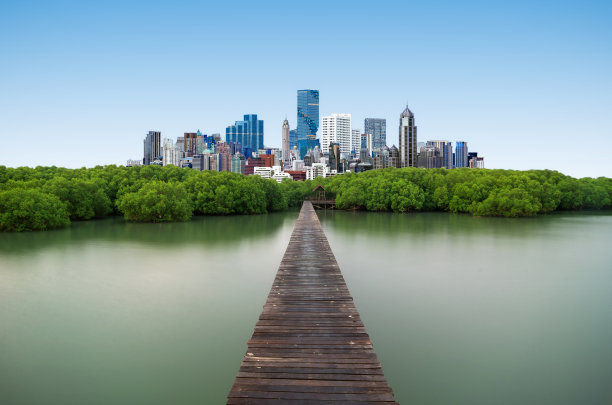 木桥与现代城市图片下载