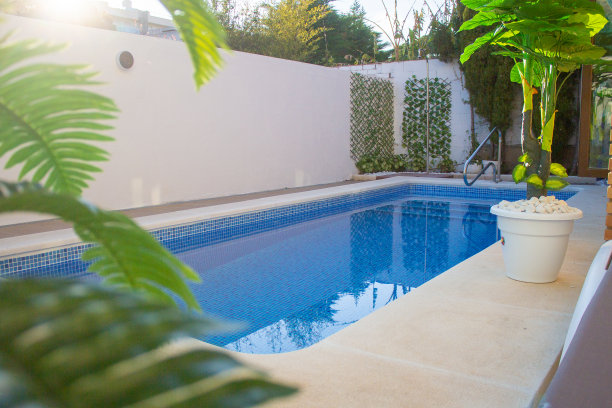 以大海为背景的长方形大游泳池图片下载