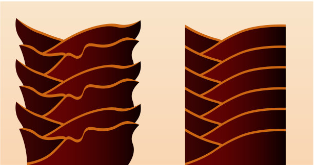 在显微镜下观察受损和健康的头发表面图片下载