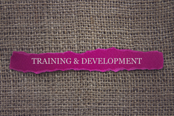 培训和发展图片下载