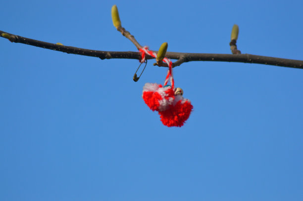 巴尔干传统的木兰花春天装饰图片下载