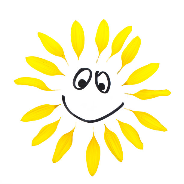 用向日葵花瓣画线图片下载