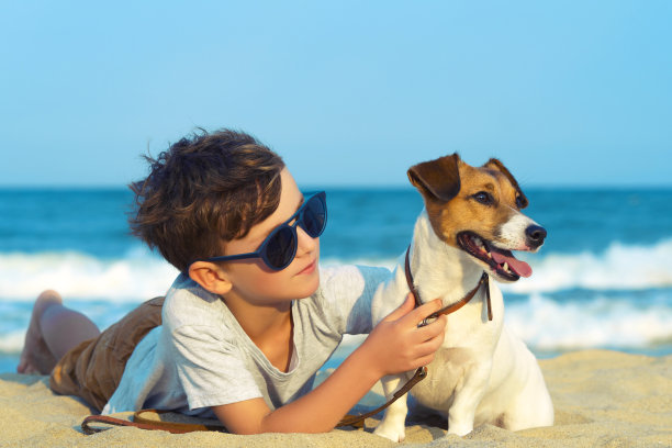 快乐的9岁男孩拥抱他的狗品种杰克罗素在海边对蓝色的天空接近日落。最好的朋友在假期休息和玩乐，在海边的沙滩上玩耍图片下载