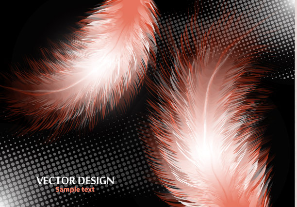 彩色逼真的鸟类羽毛孤立在黑色背景，半色调效果。矢量插图为您的设计。图片下载