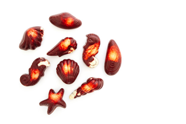 一套海洋比利时巧克力果仁糖果，孤立在白色的背景。奢华甜品诱惑概念。图片下载