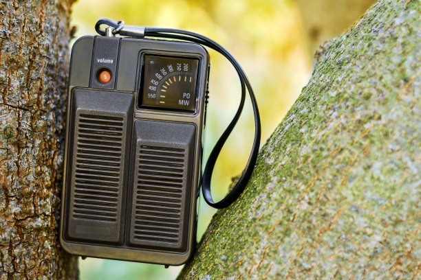 树上的旧便携式收音机图片下载